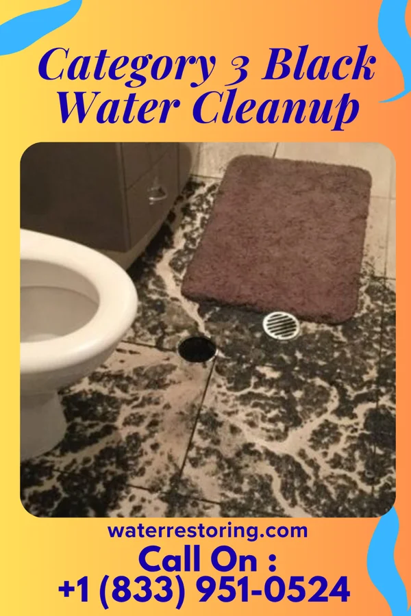 Category 3 Black Water Cleanup in Masonville, KY