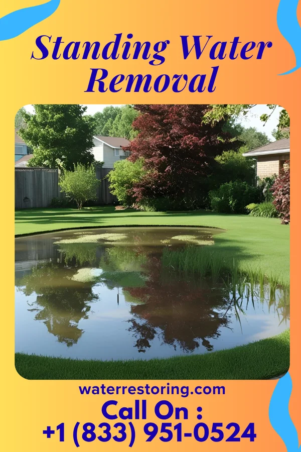 Standing Water Removal in Masonville, KY